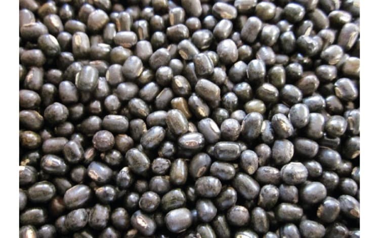 Dal Makhani