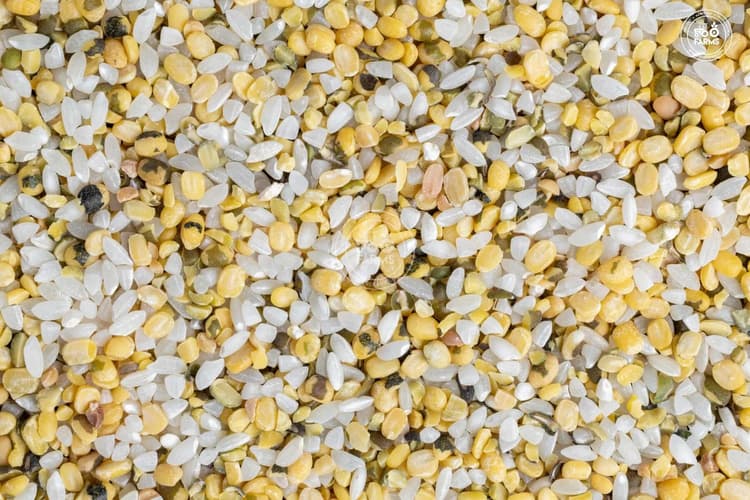 Khichdi Mix