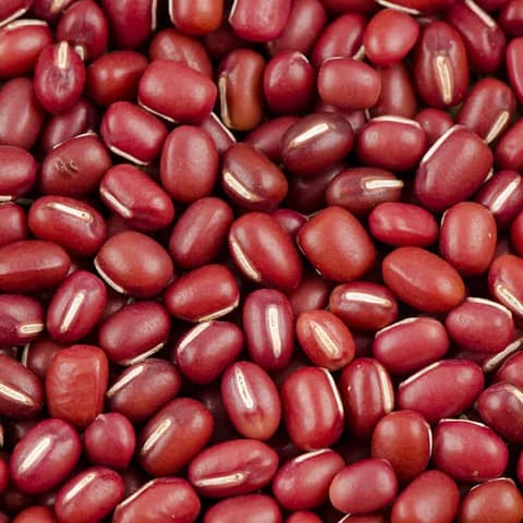 Red Chori