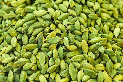Bay Leaves